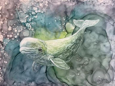 Beluga Dreams