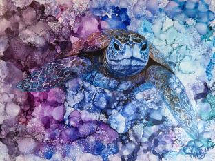 Ocean Traveler