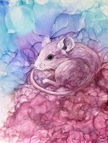 Little Wanderer